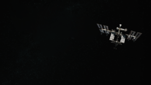 Lire la suite à propos de l’article Comment passer d’inconnu à référence locale dans votre secteur