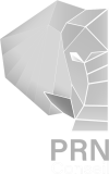 Logo PRN Conseil